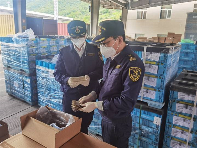 Fremme udenrigshandel for at sikre stabilitet og forbedre kvaliteten Ningbo Told udstedt 20 