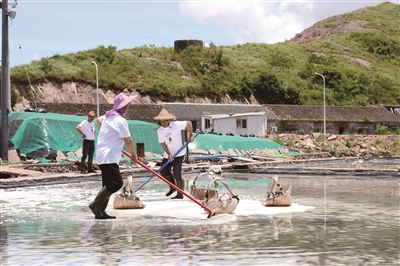 Den første i provinsen! Xiangshan Gaotang Island by havsalt tørring ikke genetisk bærende institut åbnet