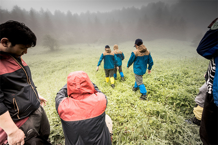 Hvad er SURVIVA Wilderness Survival?